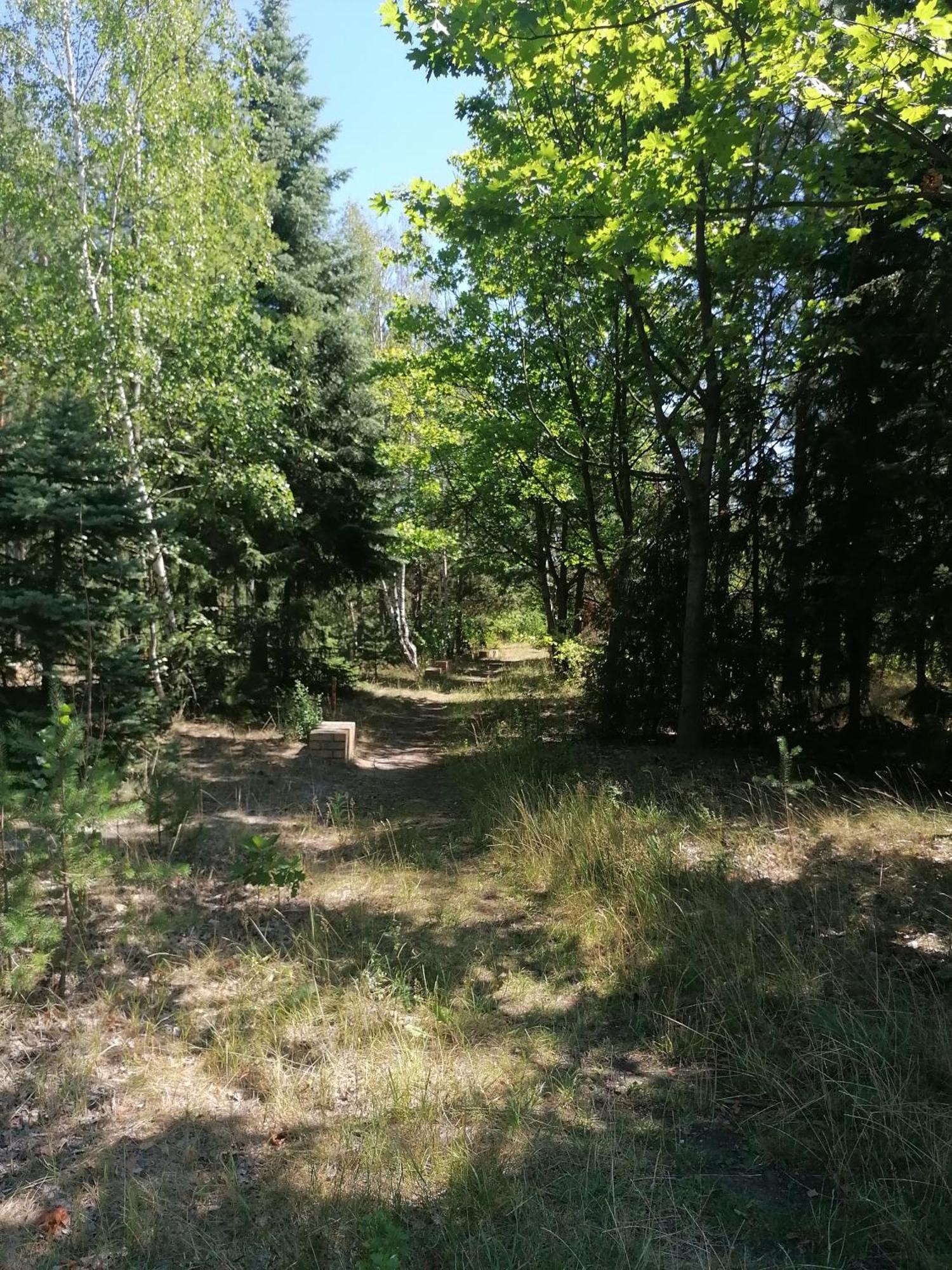 Ferienwohnung Gnubbel Am Wald ヴァイスヴァッサー エクステリア 写真